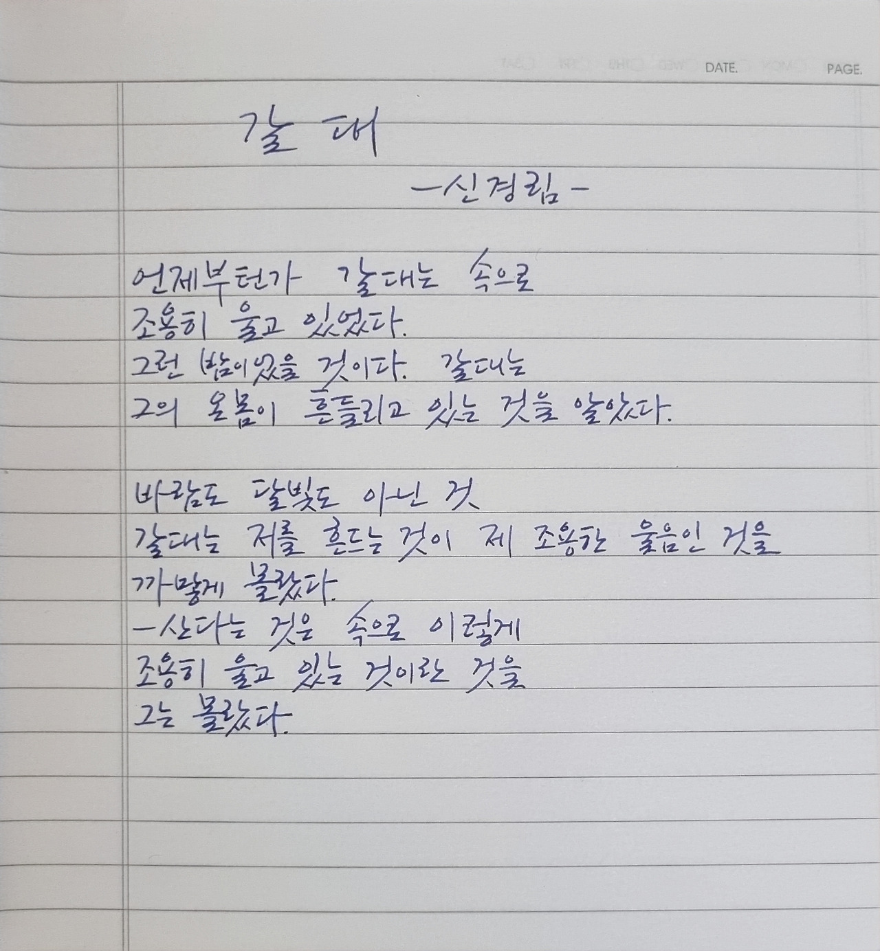 신경림 갈대.jpg