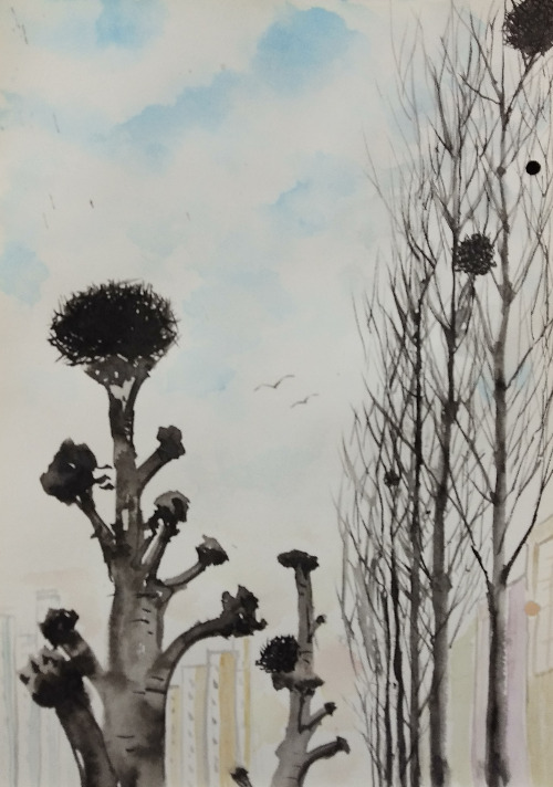 가로수 맨션 수난시절.jpg