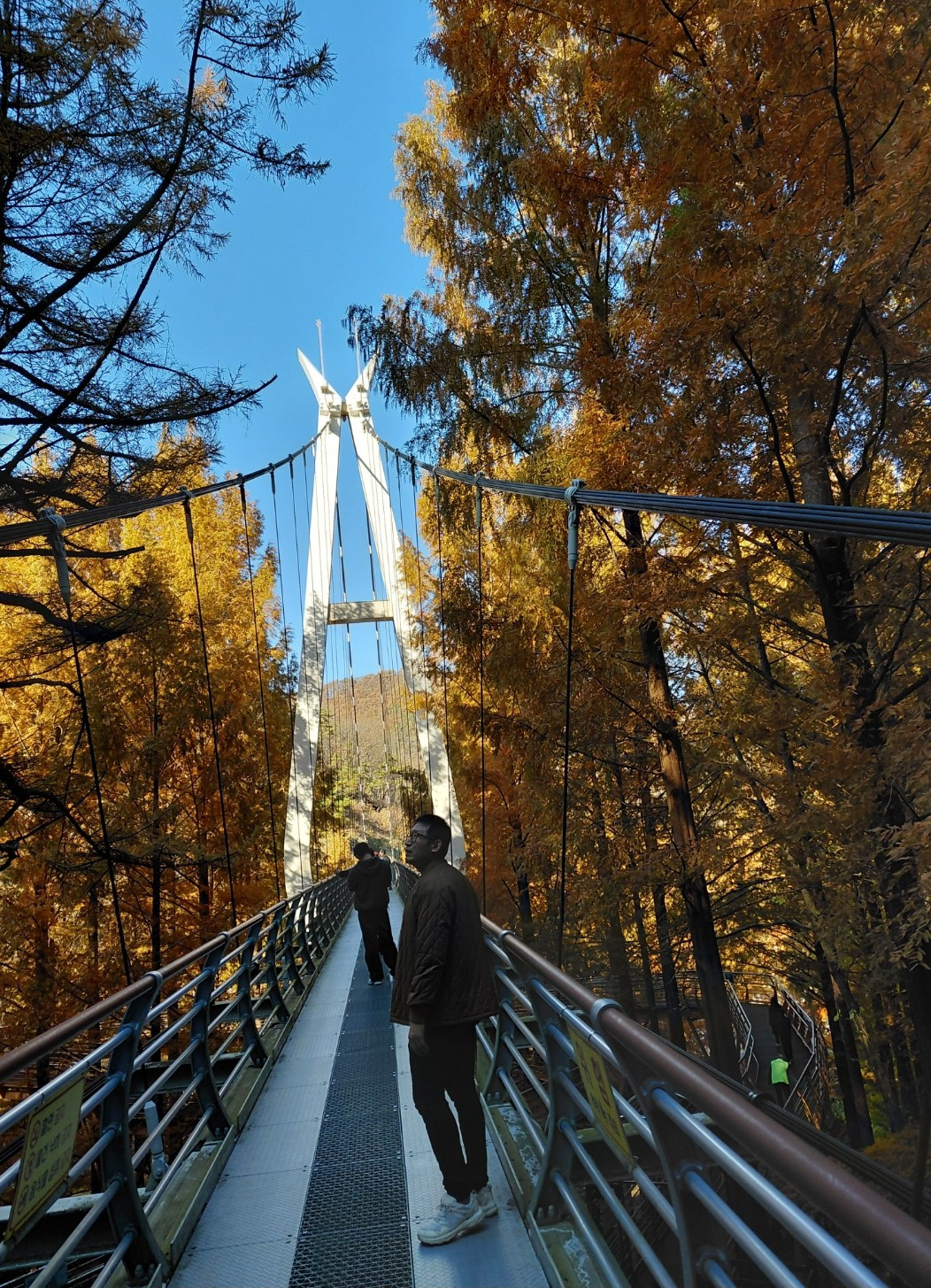 Screenshot_20251118_150023_Gallery 1.jpg