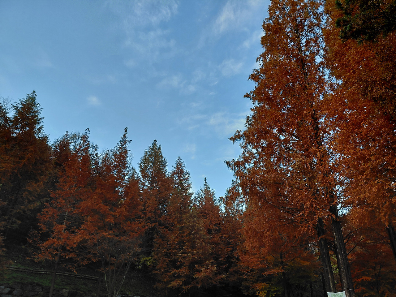 20251115_080849 7.jpg