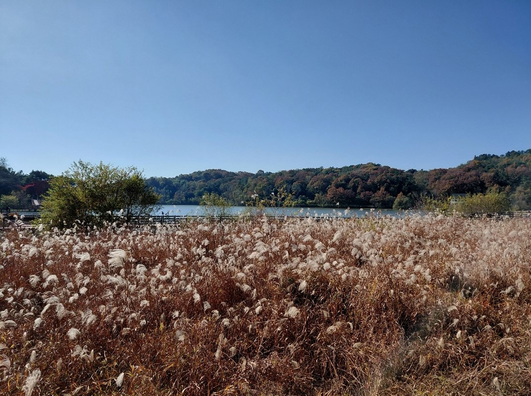 Screenshot_20251118_151120_Gallery 10.jpg