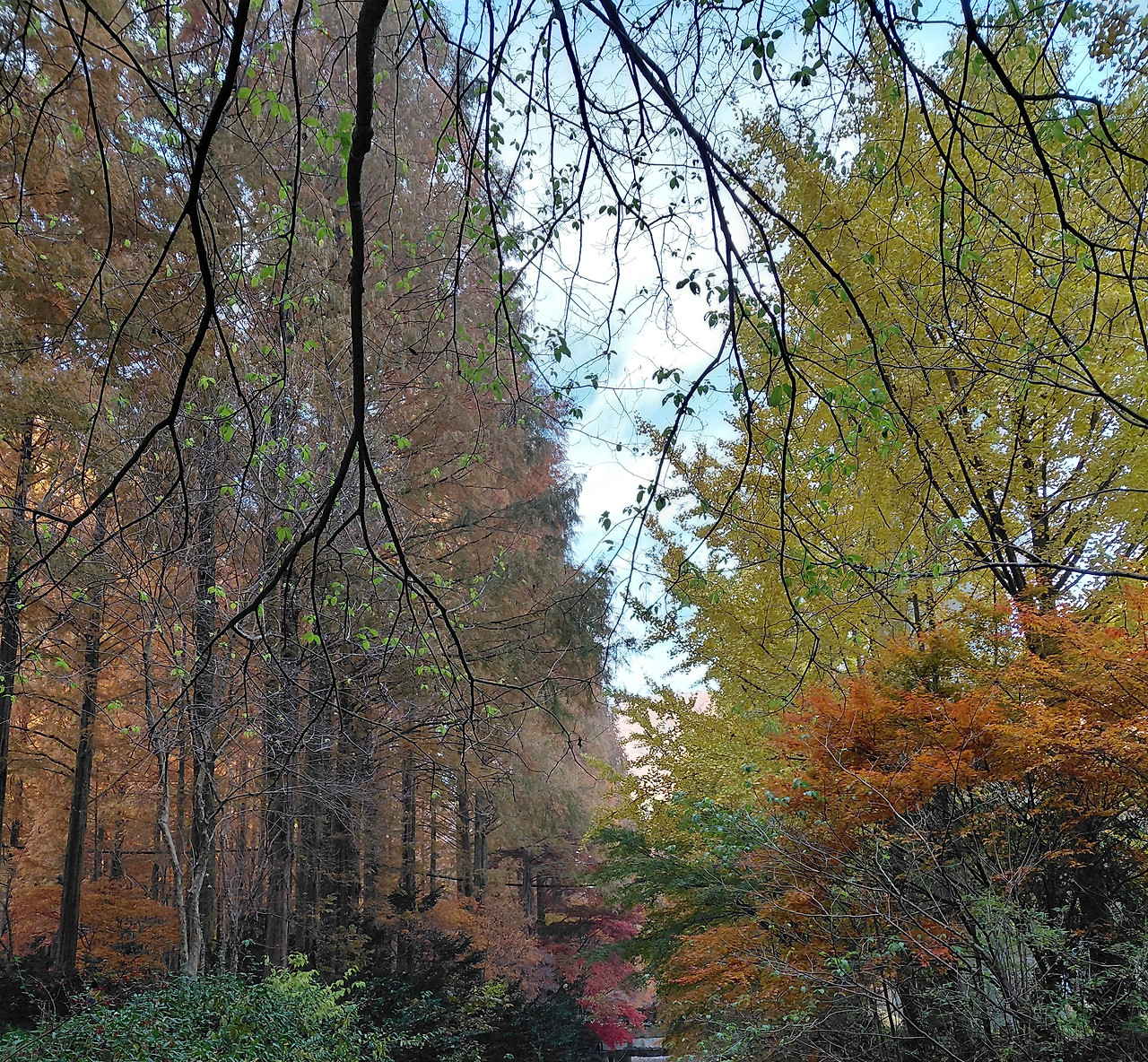 20251115_083054 4.jpg