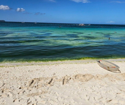 [크기변환]1740901784792-1 (1).jpg