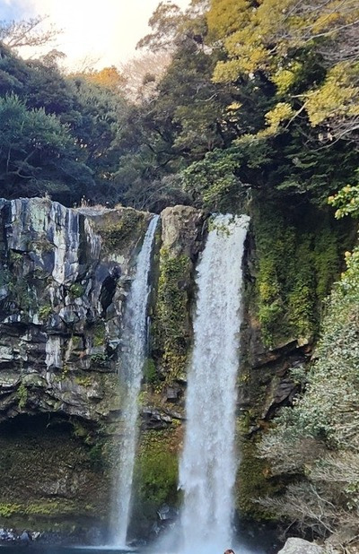 20250129_155015 (1).jpg