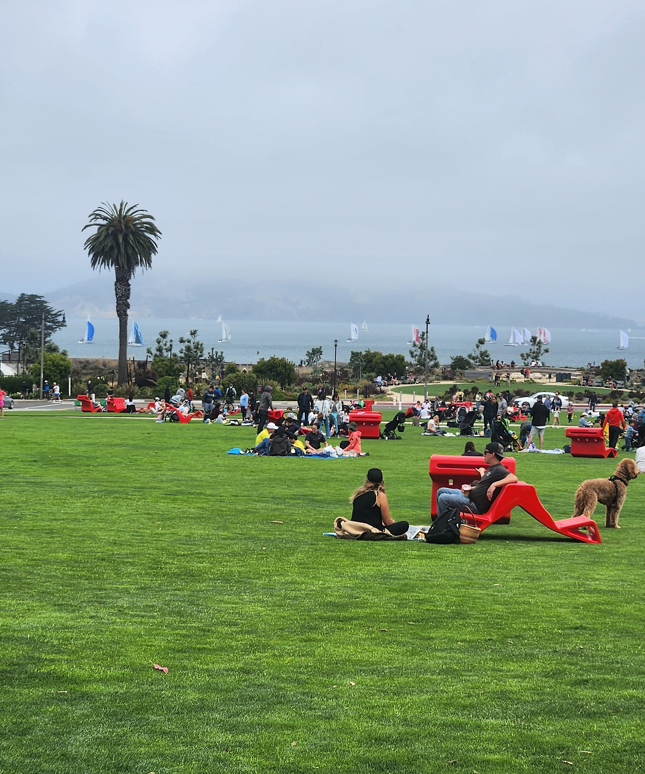 presidio_Picnic.jpg