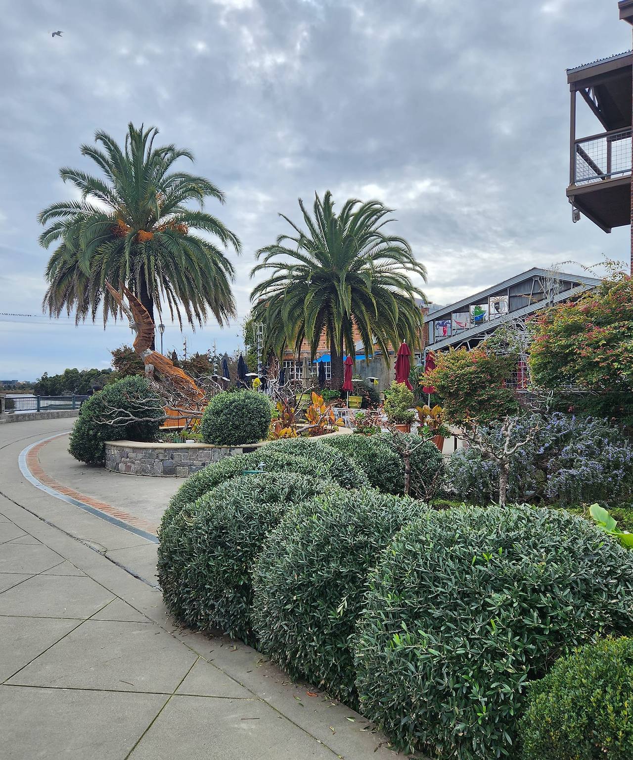 napa valley downtown4.jpg