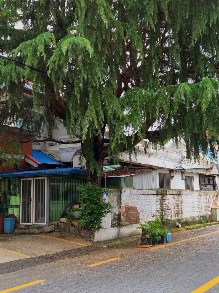 군산 이미지.jpg