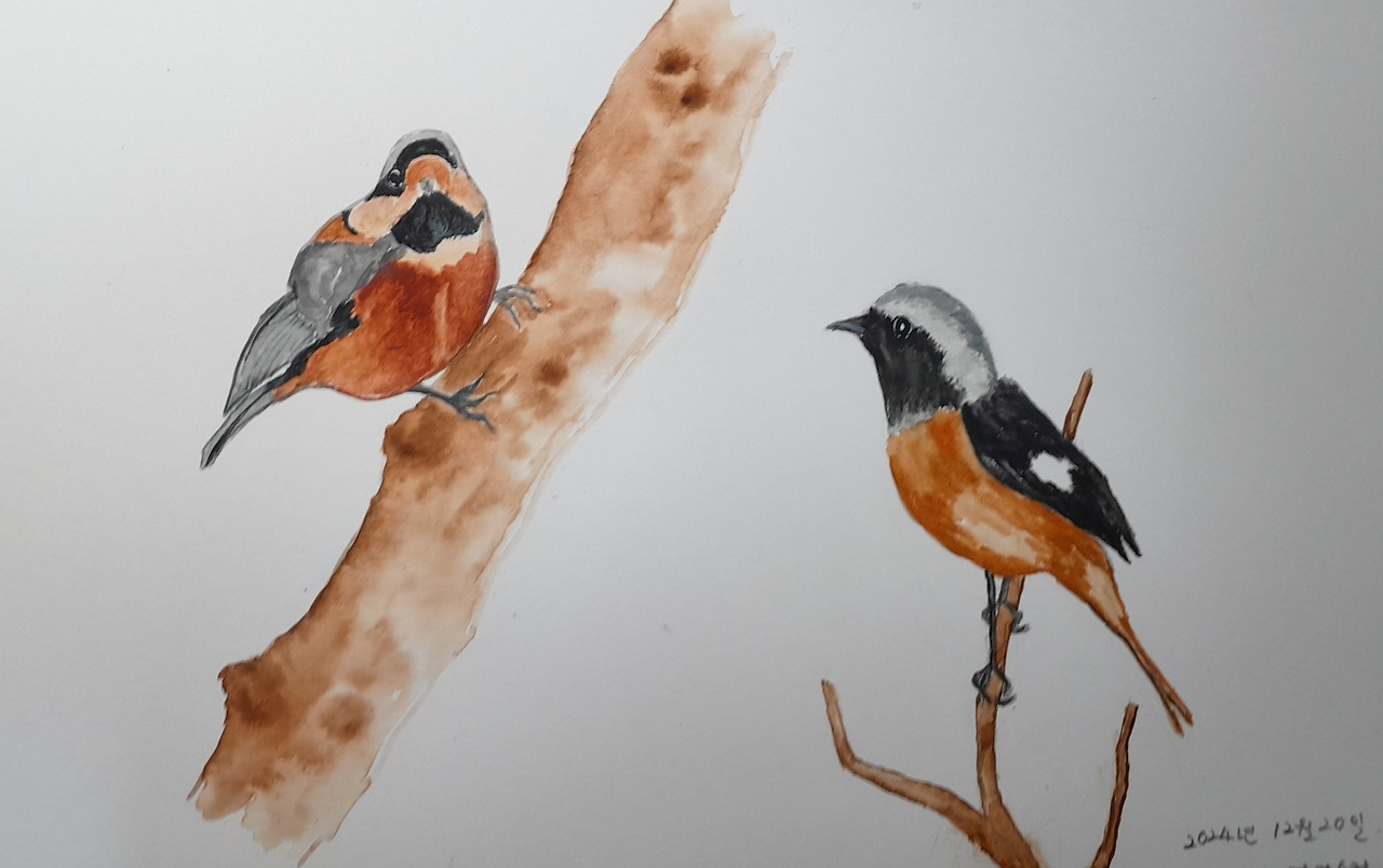 곤줄박이와 딱새수컷.jpg