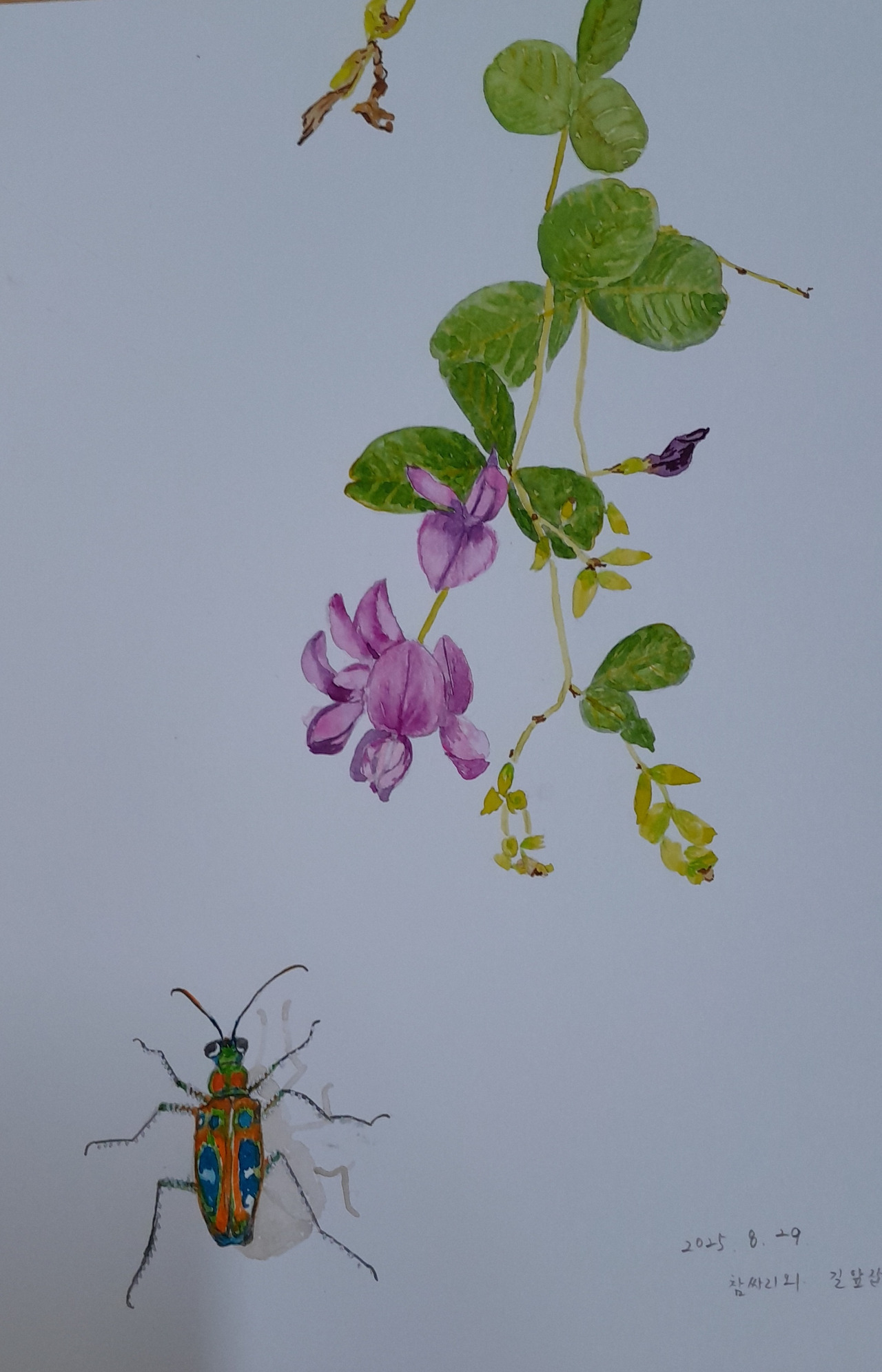 참싸리와 길앞잡이.jpg