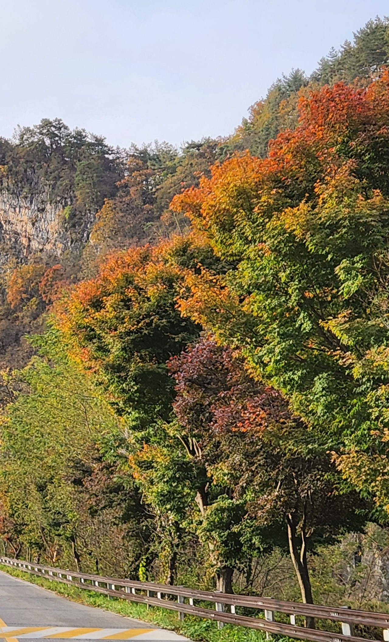 마흔의 가을.jpg