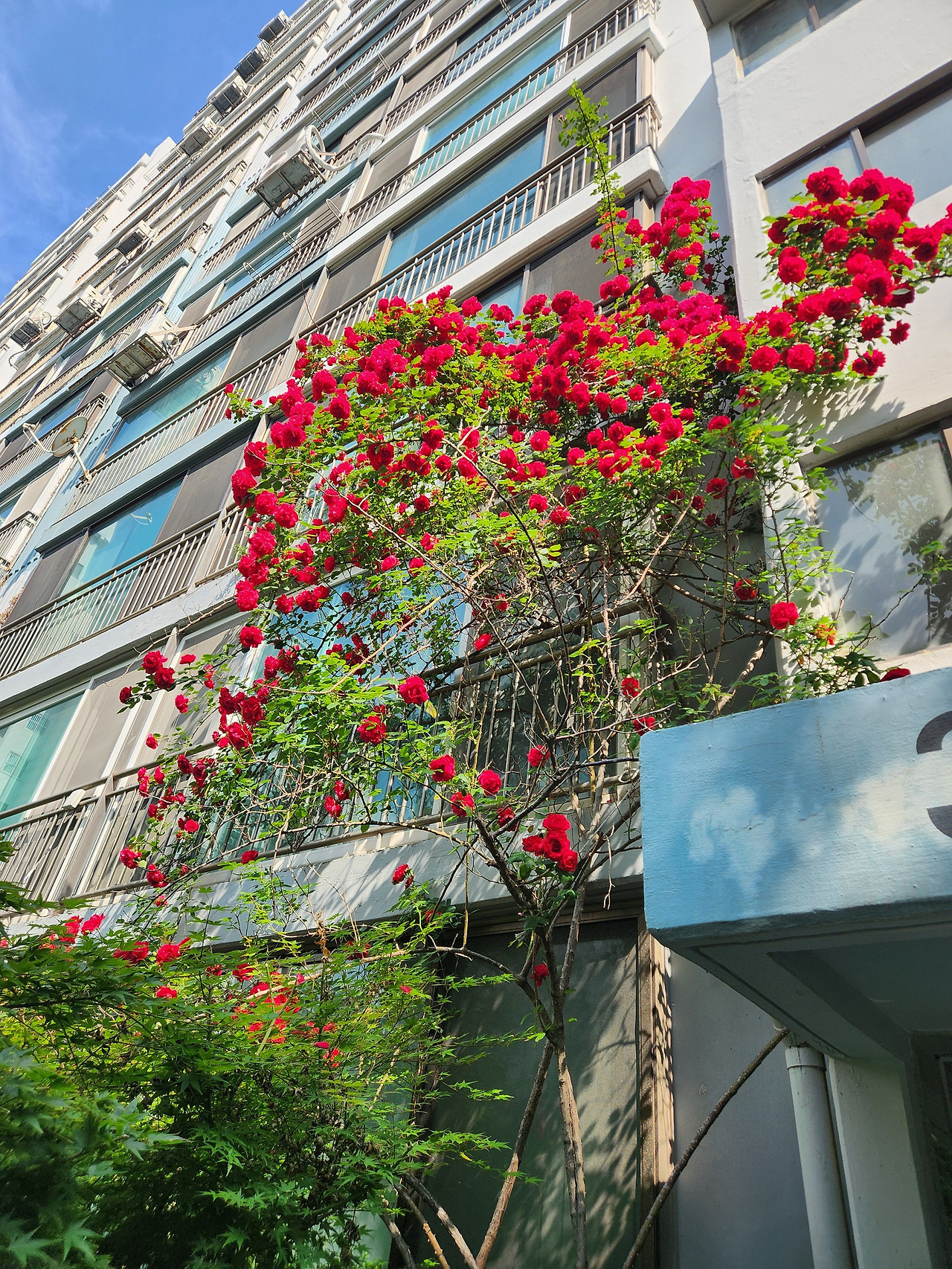 사랑하고 있어요.jpg