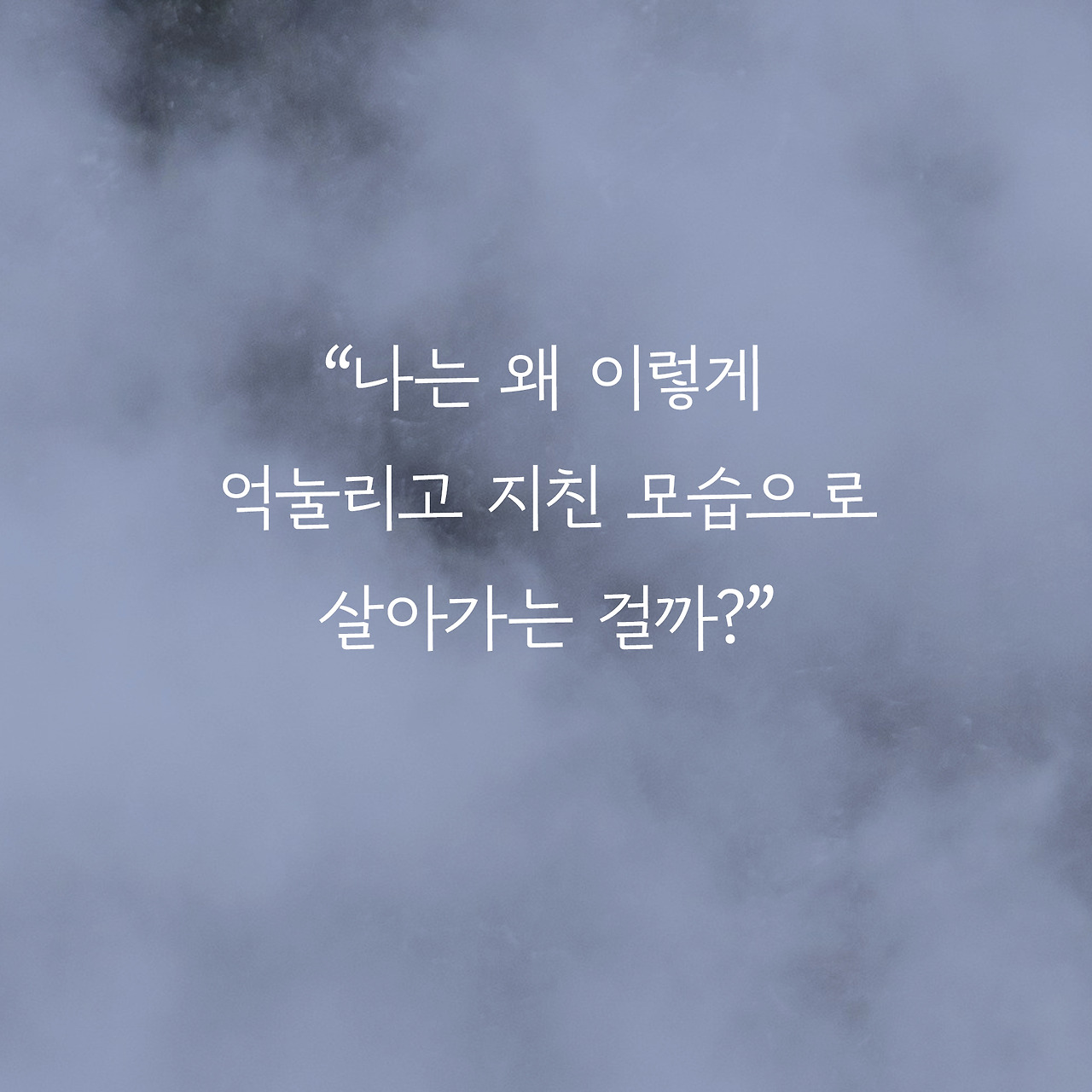 마흔, 더 늦기전에_카드뉴스_03.jpg