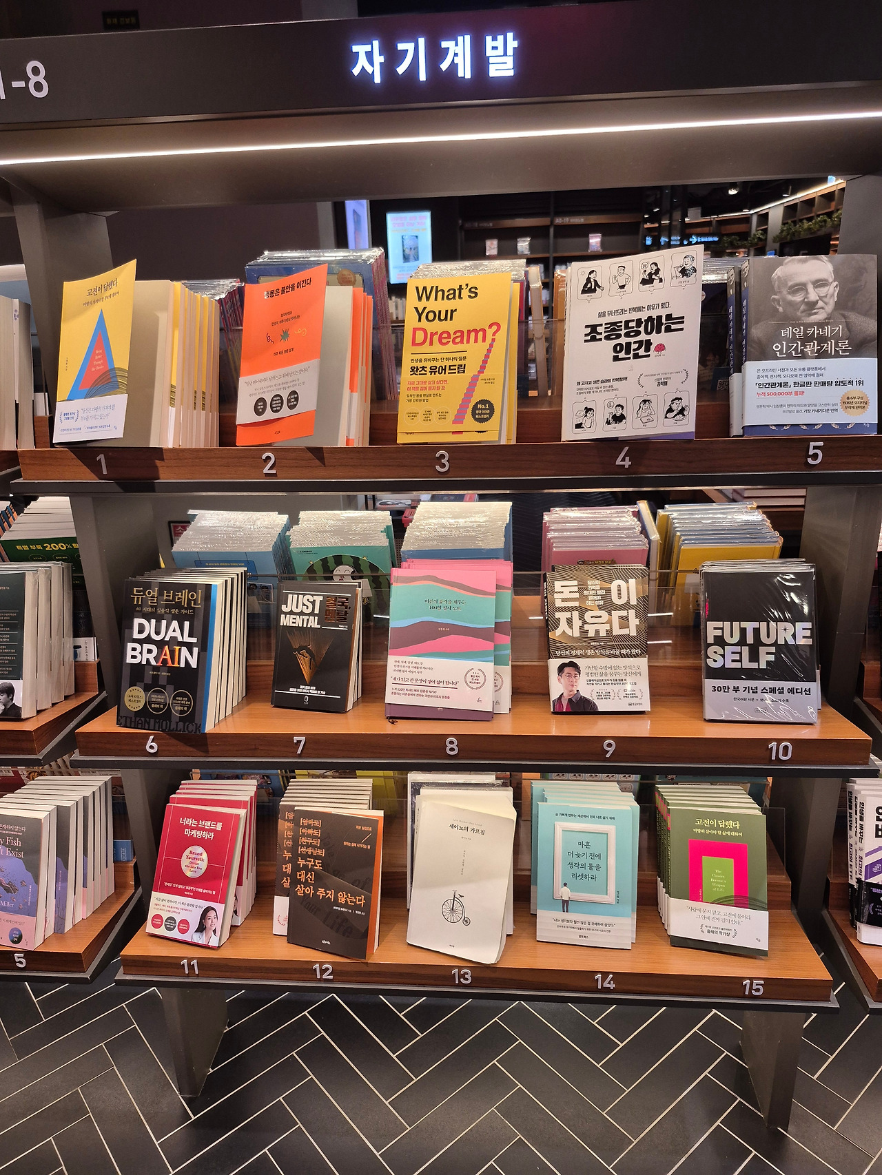 일산 교보점.jpg