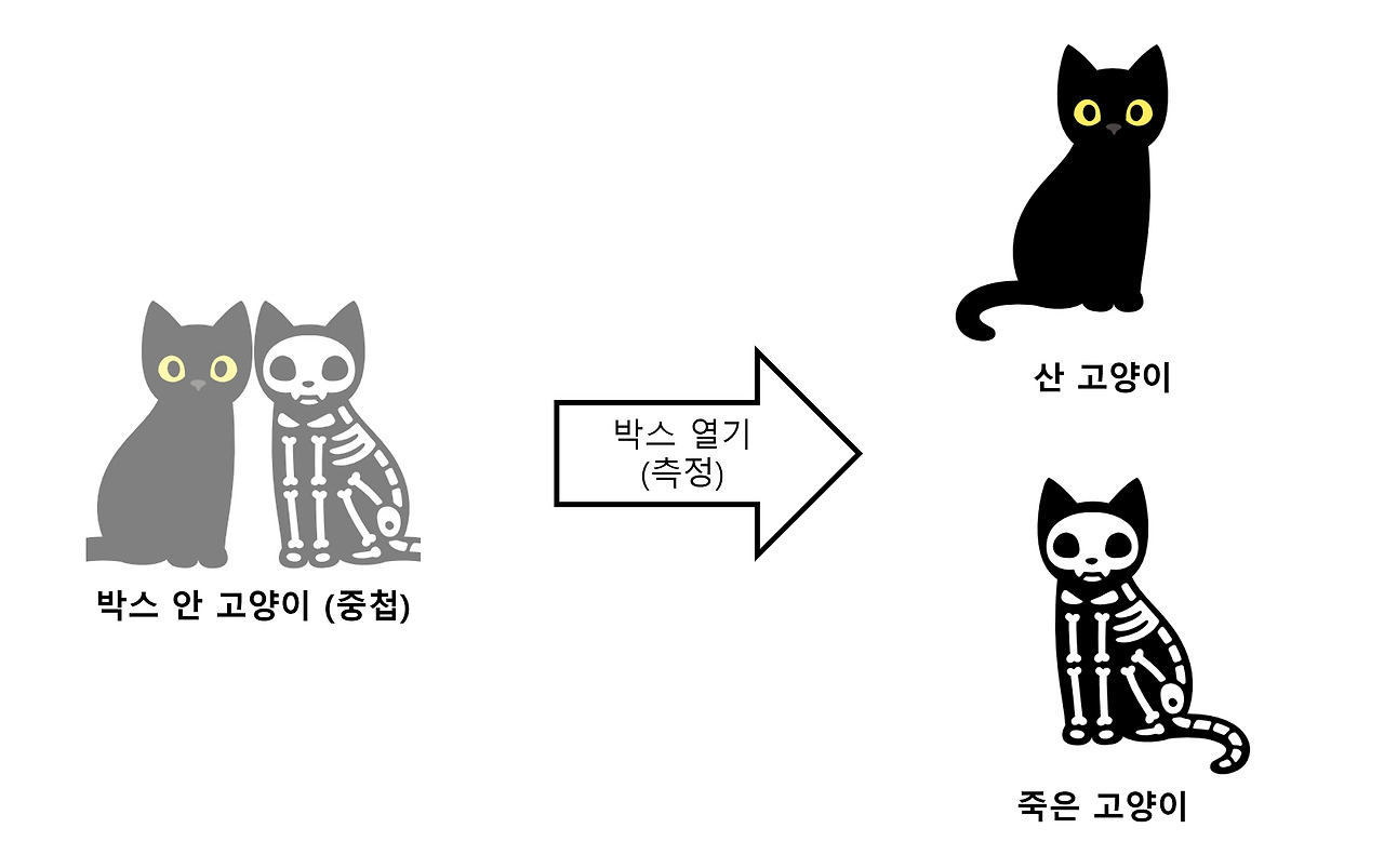 슈뢰딩거의 고양이.jpg