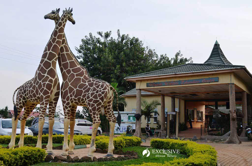 entebbe-zoo.jpg