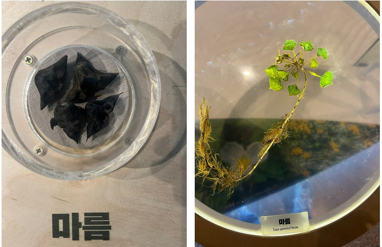 화면 캡처 2024-12-21 102742.jpg