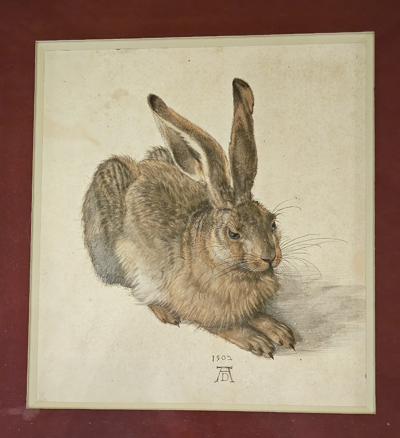뒤러 토끼.jpg
