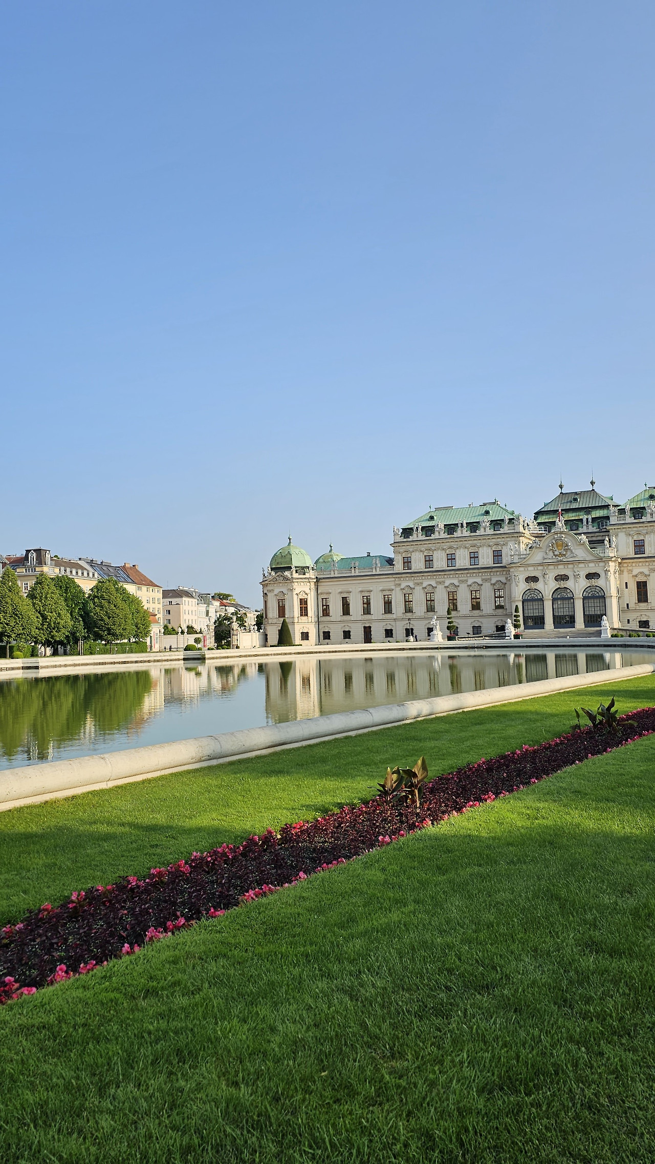 벨베데레 아침.jpg