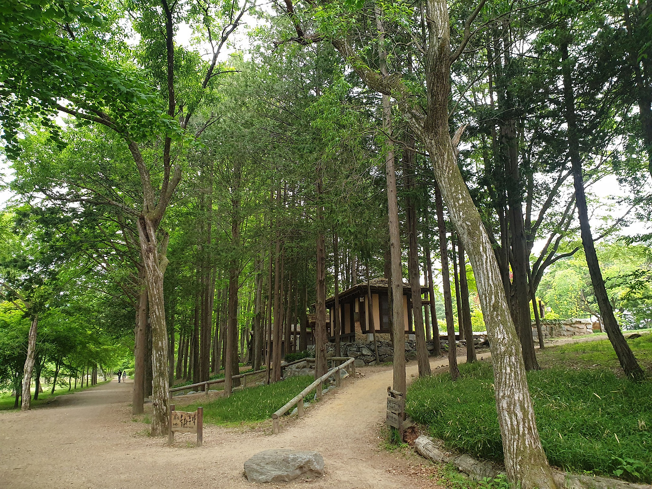 20220513_151540 -2.jpg