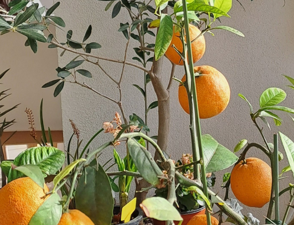 20230422_165425 -21.jpg