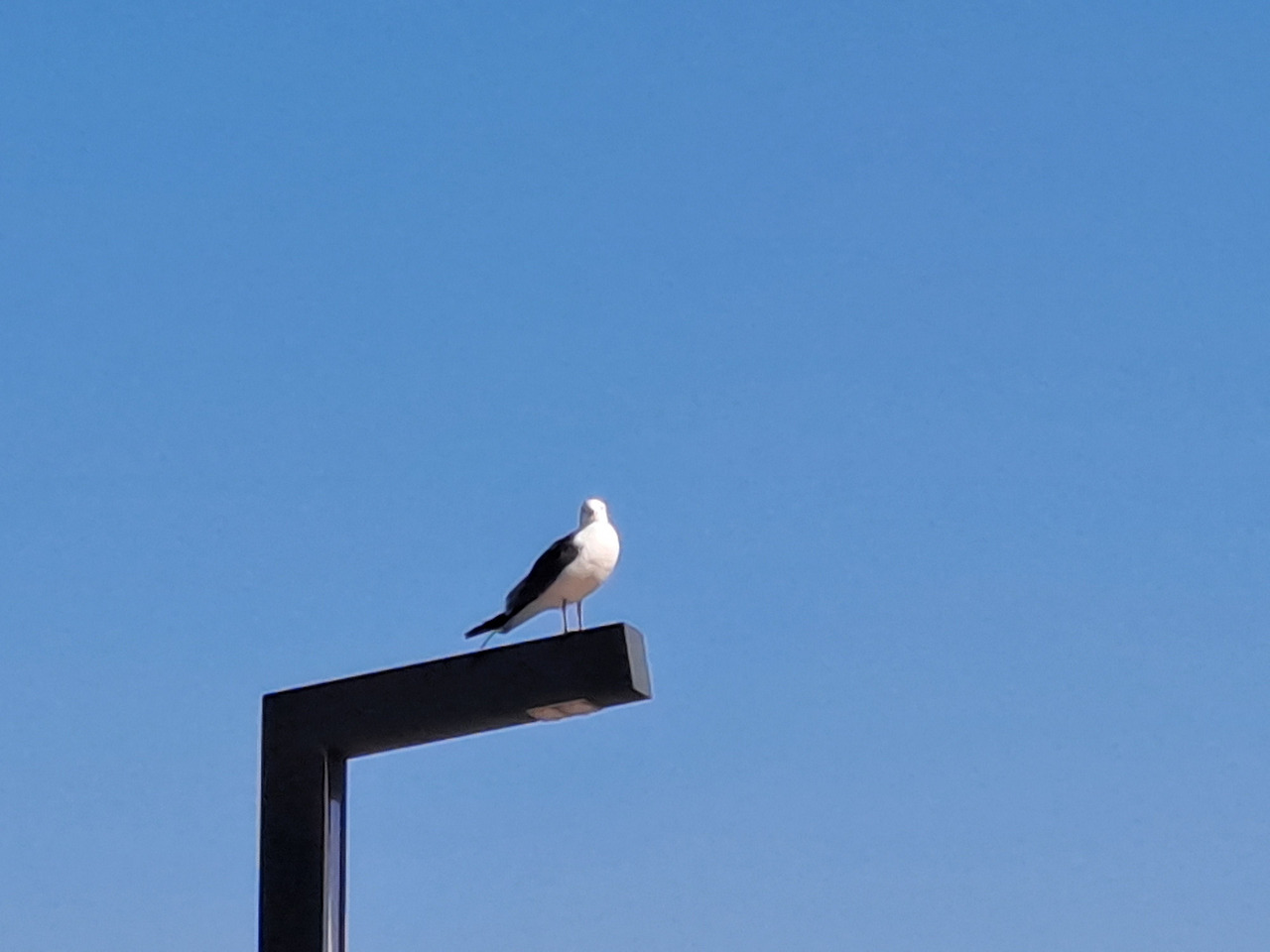 20230427_090614  외로움.jpg