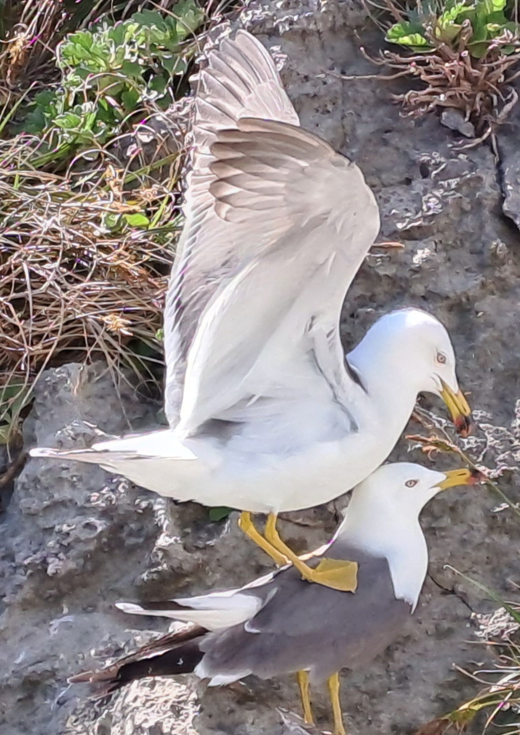 20230427_095516 -부부.jpg