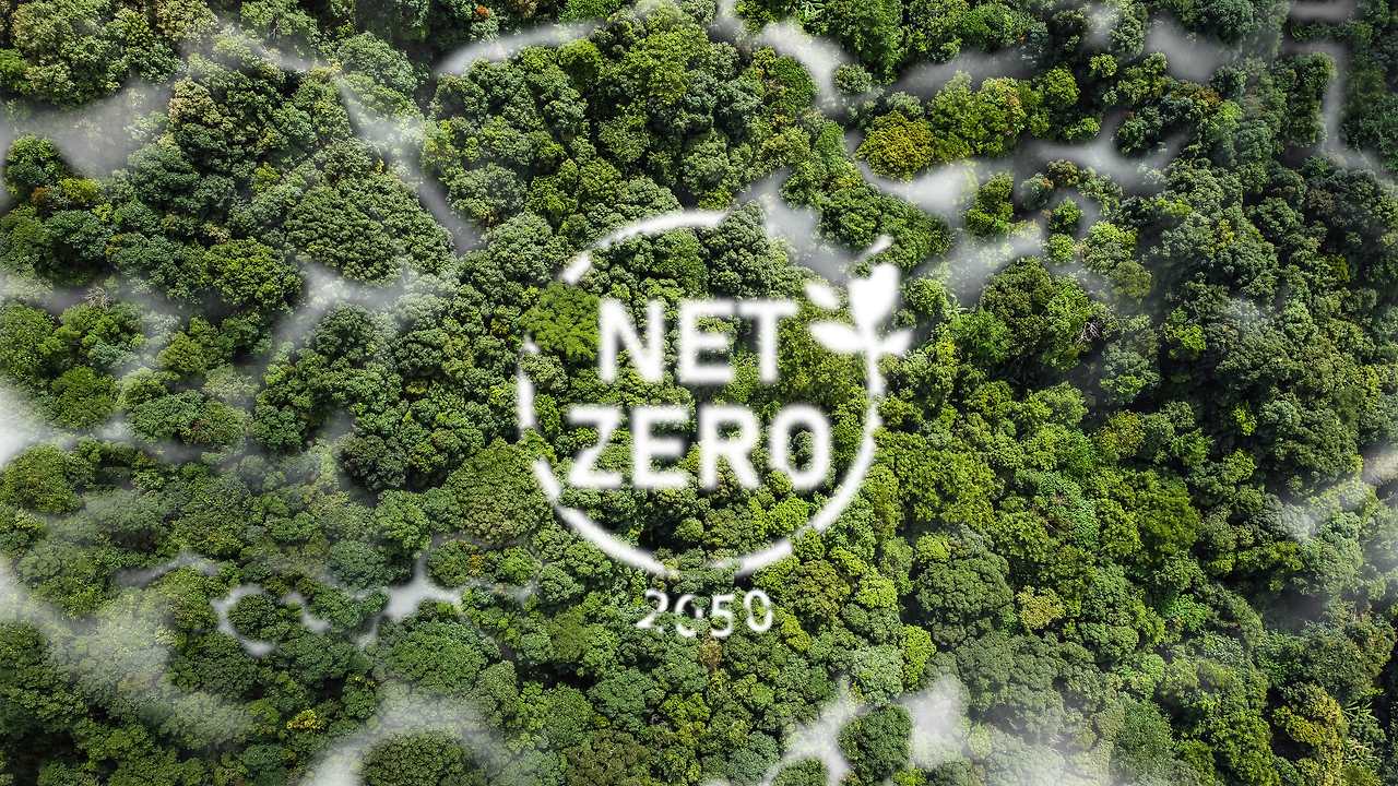 net-zero-min.jpg