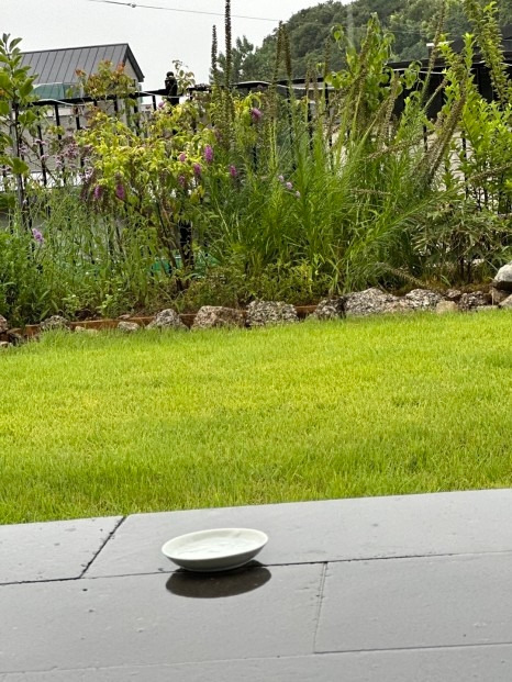 다운로드 (4).jpg