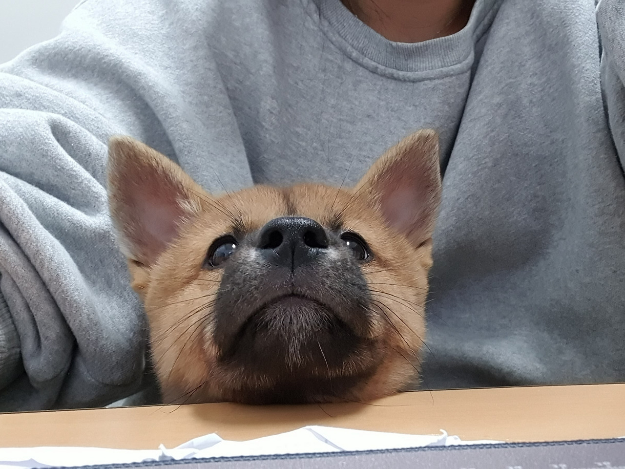 20211201_162301 (1).jpg