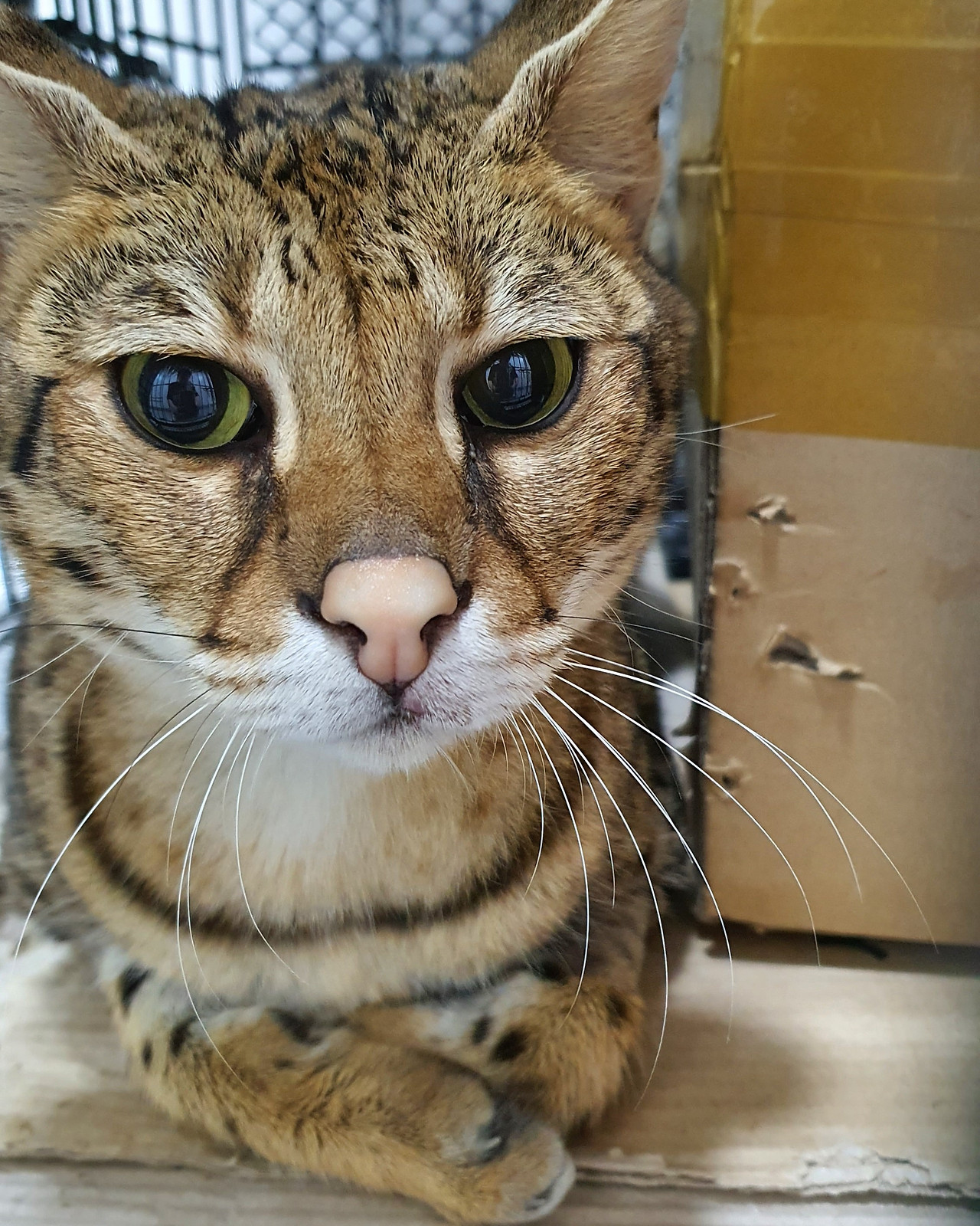 KakaoTalk_20230607_145812882 2.jpg