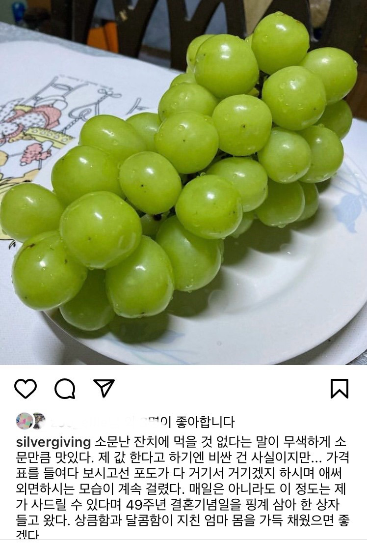 샤인머스캣 1.jpg