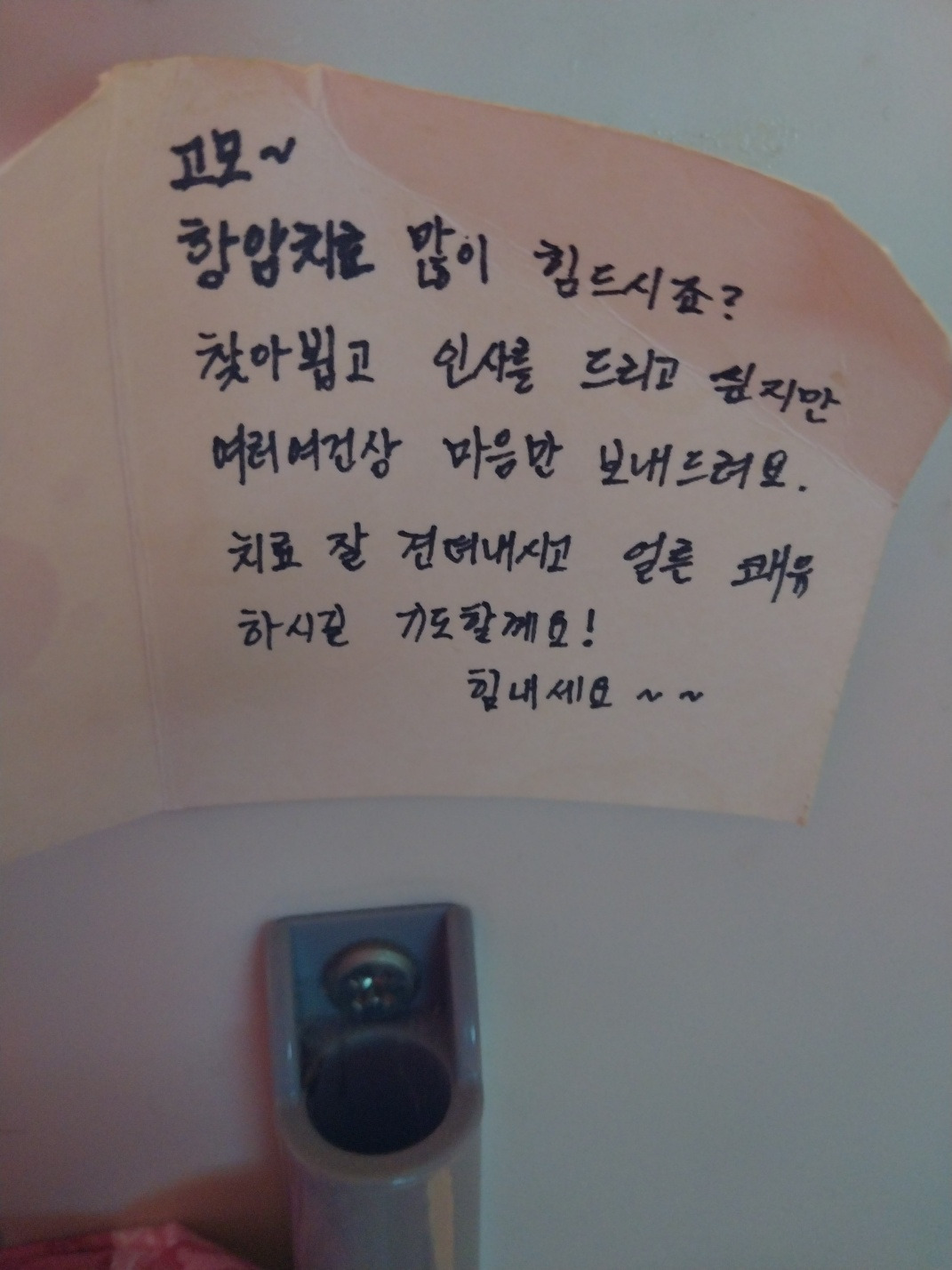 단백질 파우더 관련 2.jpg