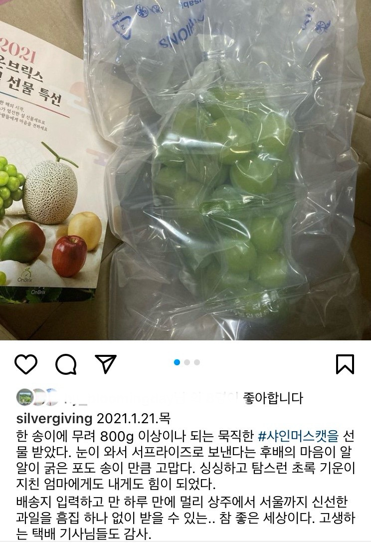 샤인머스캣 2.jpg