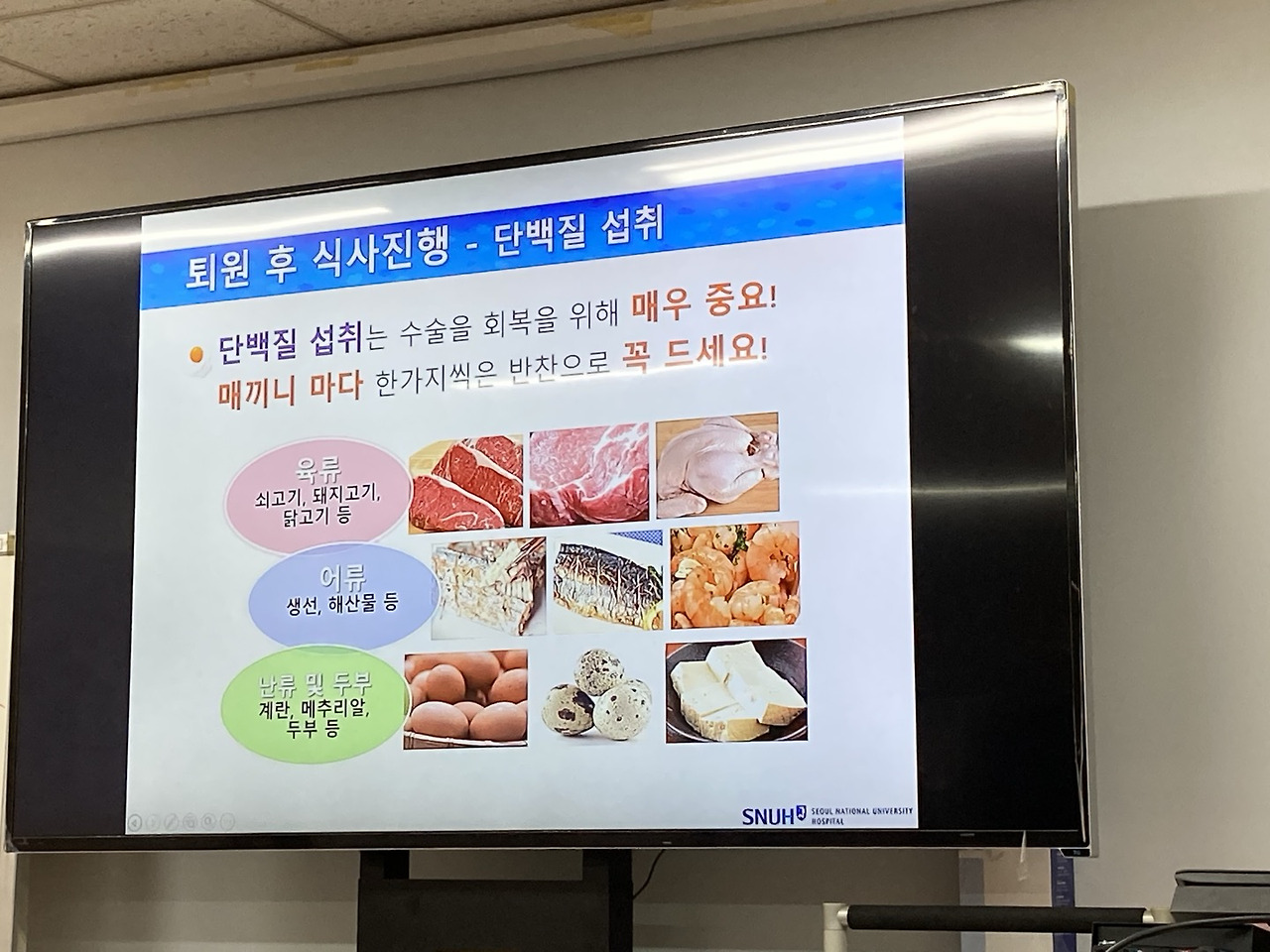 단백질 파우더 관련 1.jpg