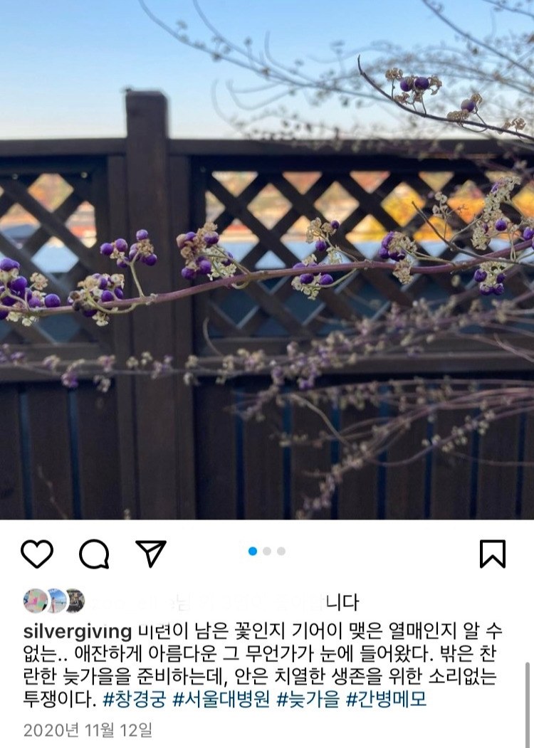 11월 중 메모 1_꽃인지 열매인지.jpg