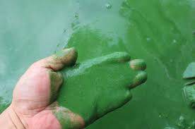 81 고여 있는 물.jpg