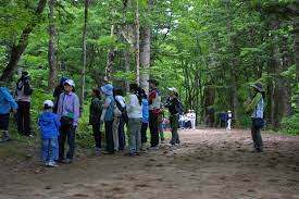 6-2 나무 숲 감사.jpg