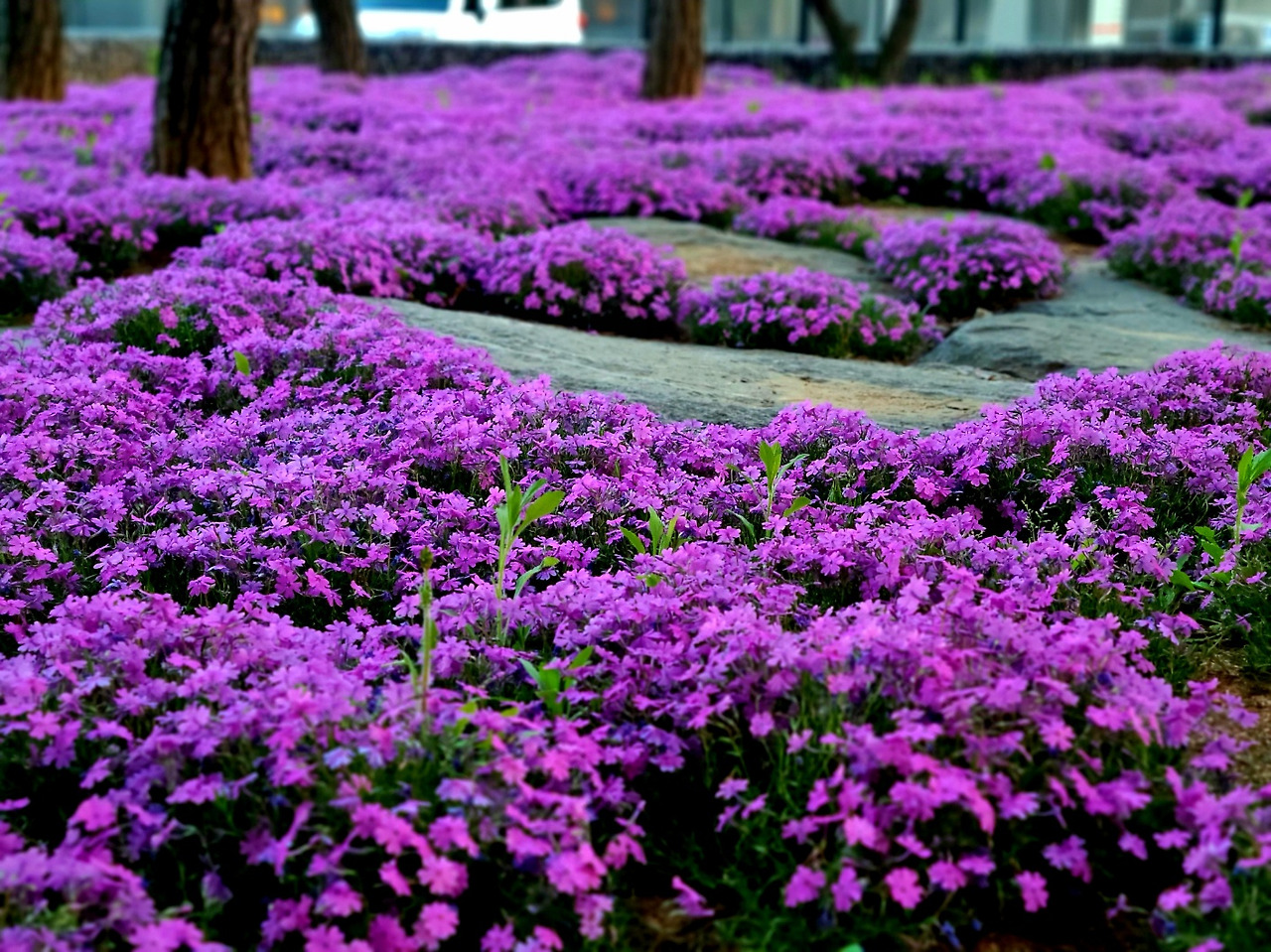 KakaoTalk_20240427_212841951_07 (1).jpg