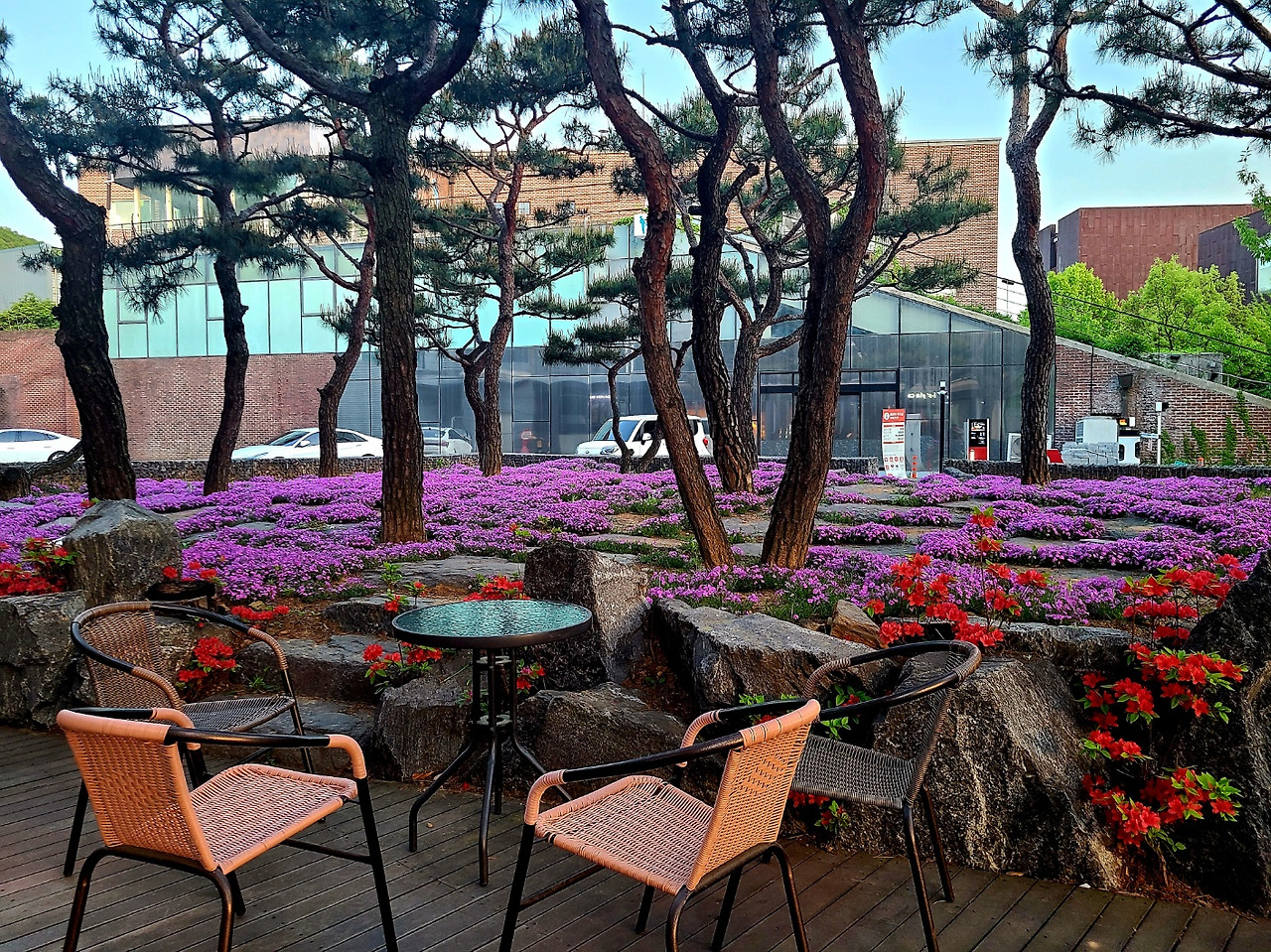 KakaoTalk_20240427_212841951_01 (1).jpg