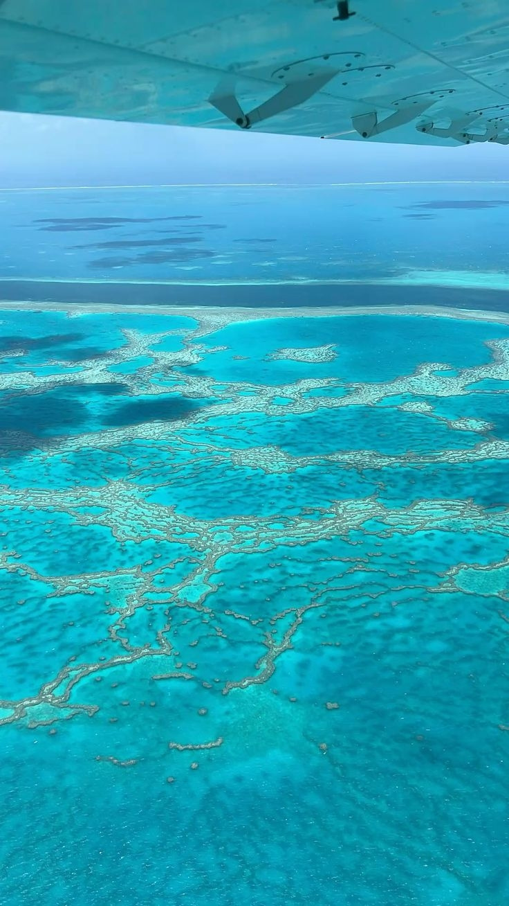 Great barrier reef.jpg