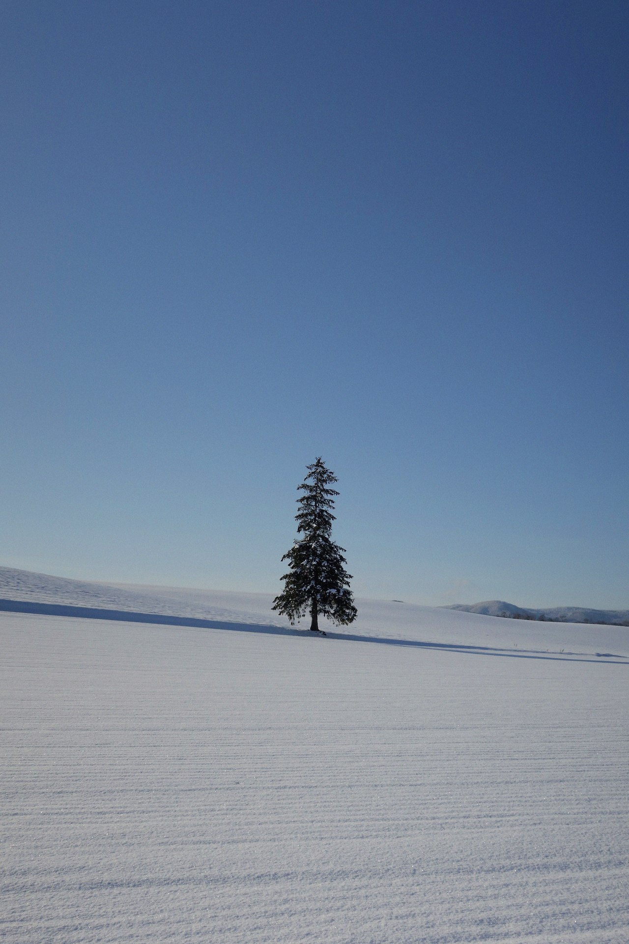 jegal-gihwan-_KoVYFw3tg0-unsplash (1).jpg