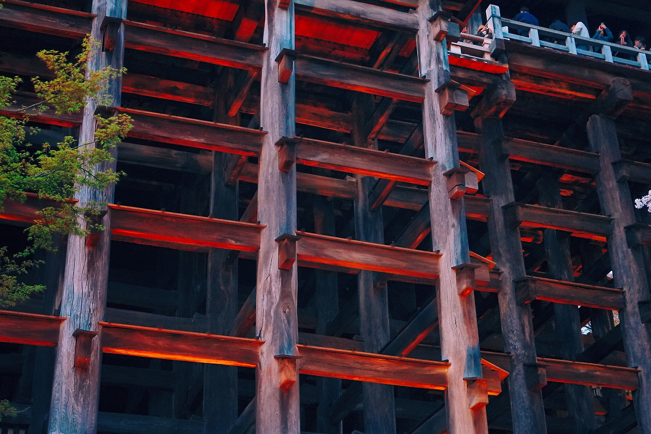 A7M00364%20Edited Edited.jpg