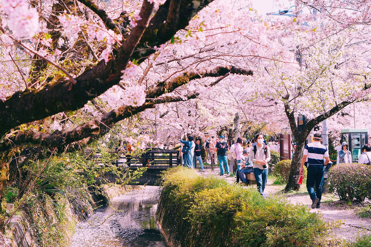 A7M00483 Edited(1).jpg