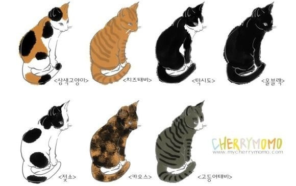 img1.daumcdn 오후 3.06.16.jpg