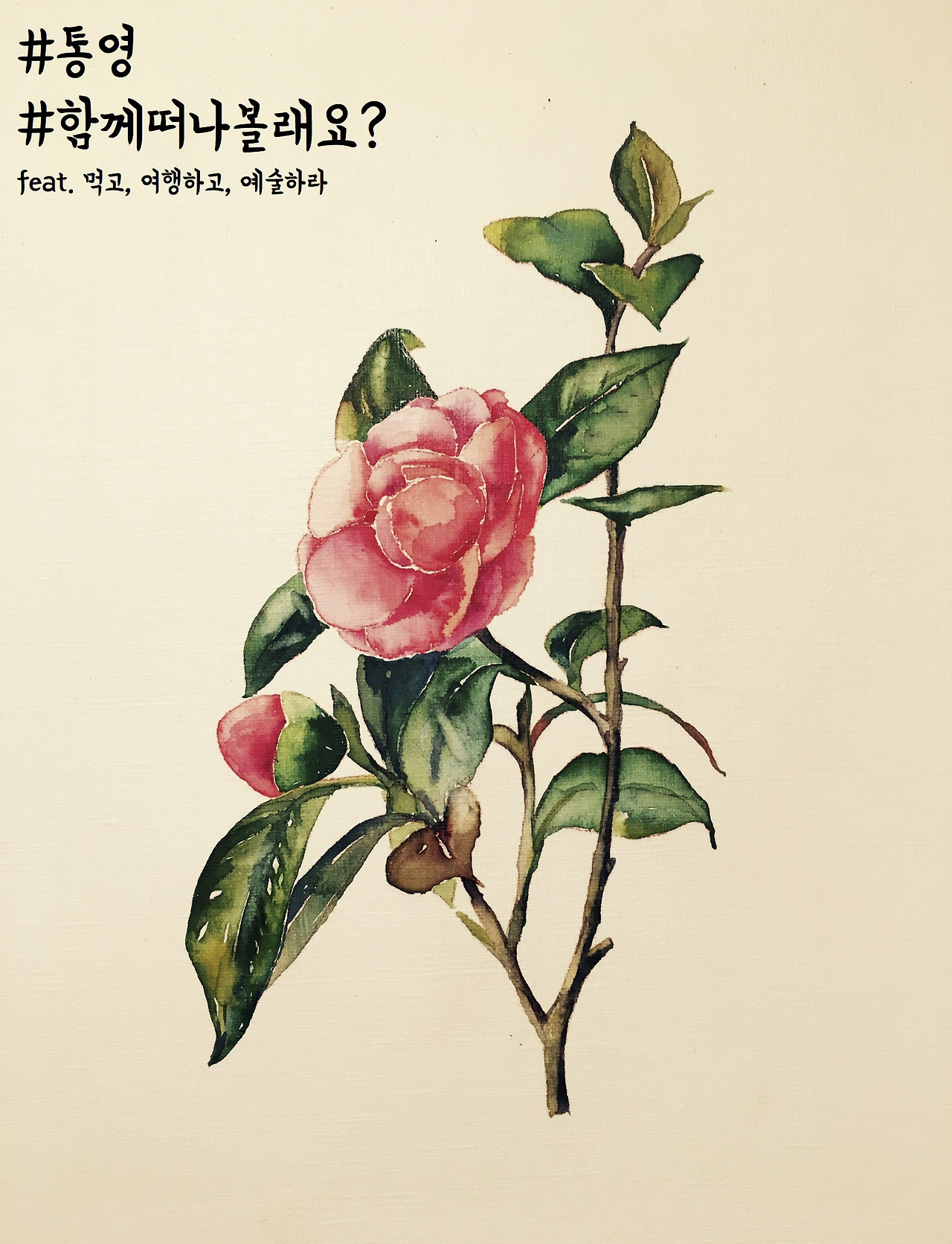 통영 10-80.jpg