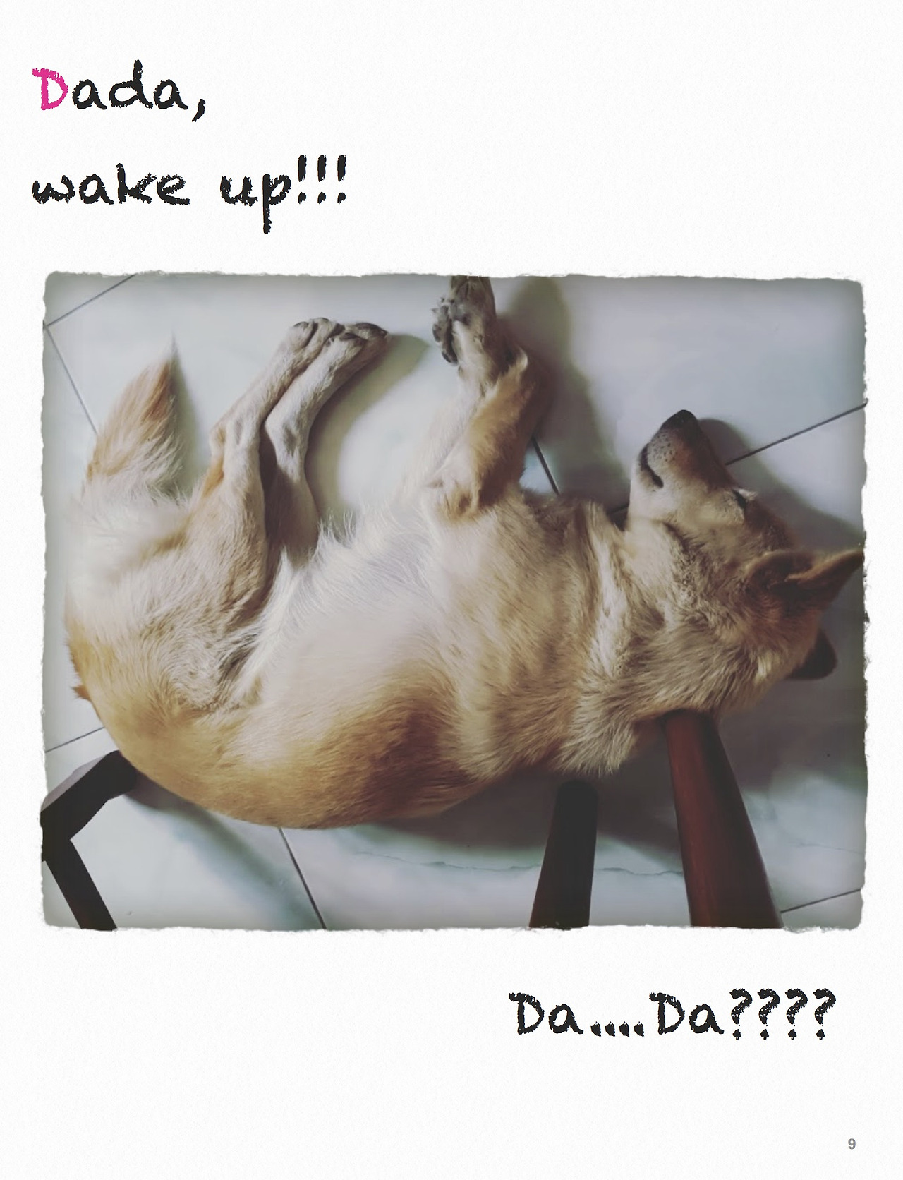 dada story9.jpg