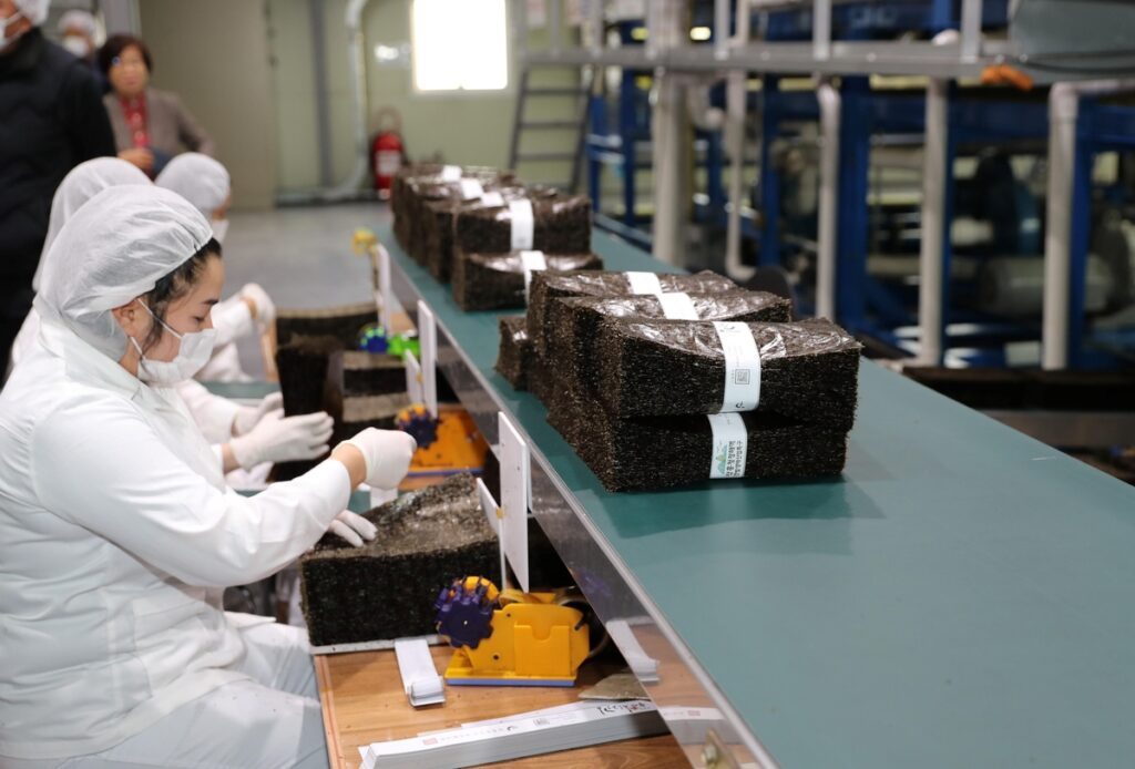 Seaweed-production-Jeonnam-4-1024x694.jpg