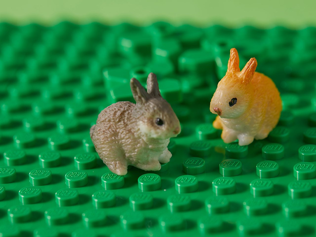 정묘일주 남자.jpg