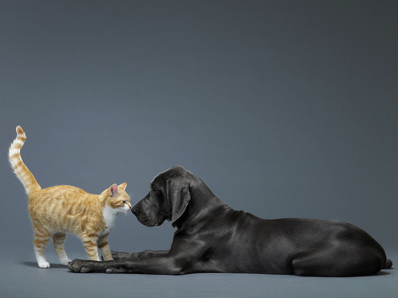 기묘일주 성격.jpg