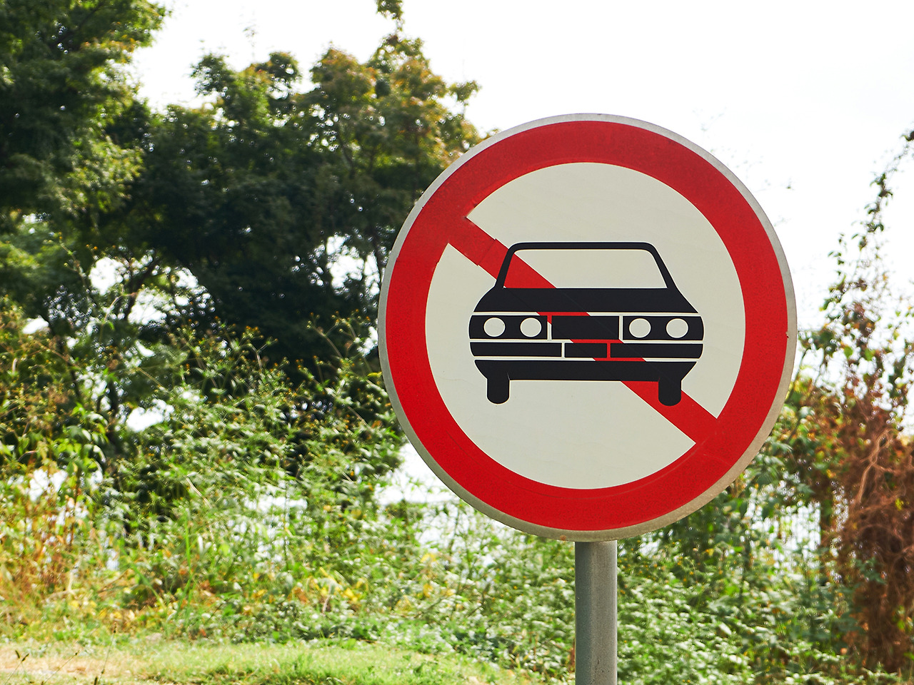 을해일주 특징.jpg